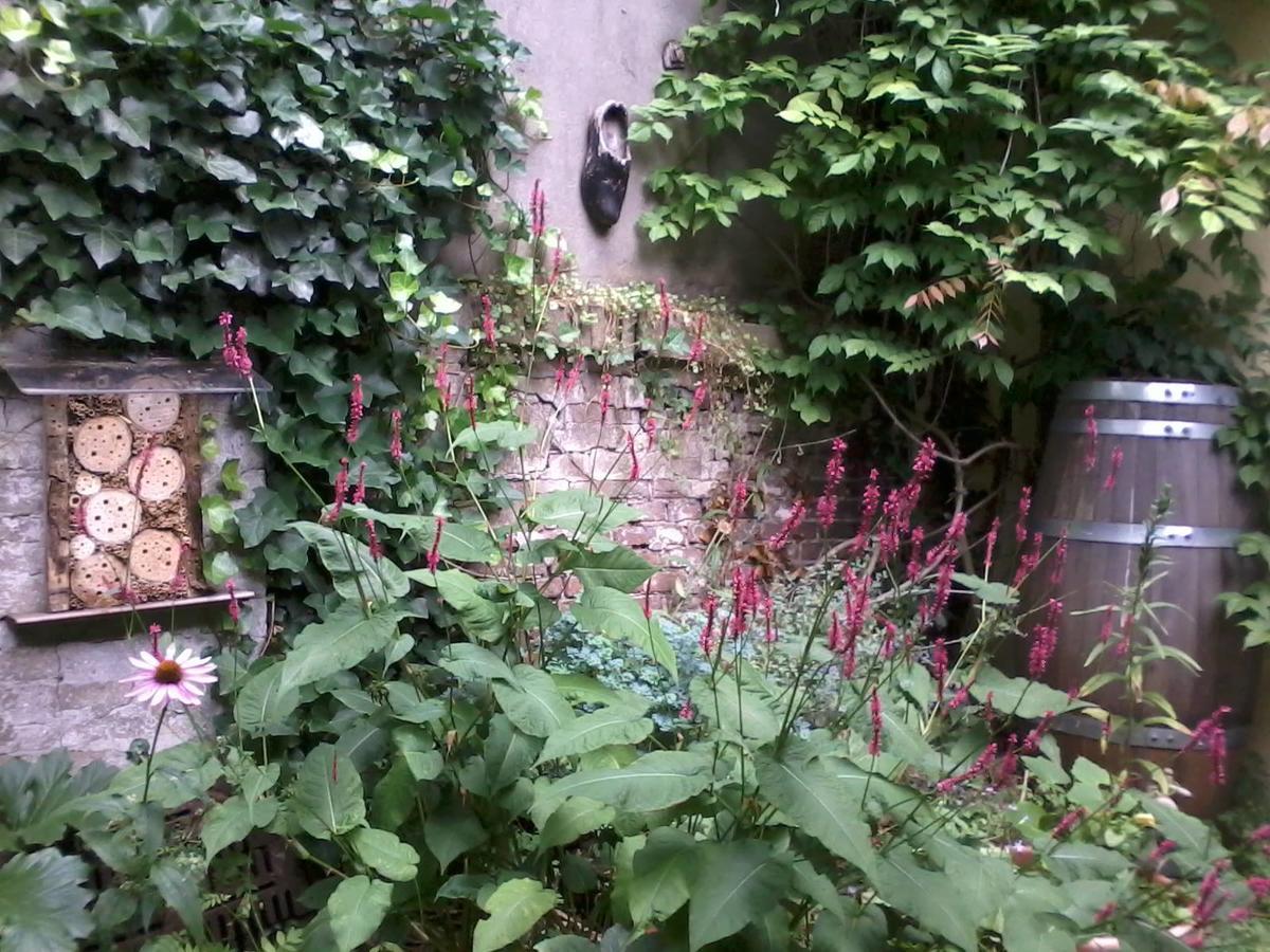 Strowis Hostel Утрехт Екстериор снимка
